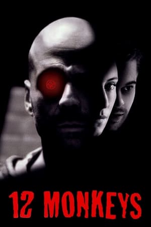 12 Monkeys (1995) Hindi Dual Audio [1GB] HD Poster Download - Filmyzilla