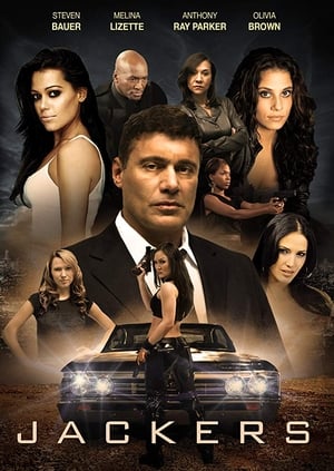 Jackers 2010 Dual Audio Hindi 300MB HD Poster Download - Filmyzilla