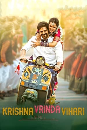 Krishna Vrinda Vihari (2022) (Hindi – Telugu) Dual Audio – HD Poster Download - Filmyzilla
