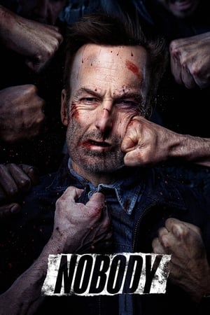 Nobody (2021) Hindi (Cleaned) Dual Audio 320MB HD Poster Download - Filmyzilla